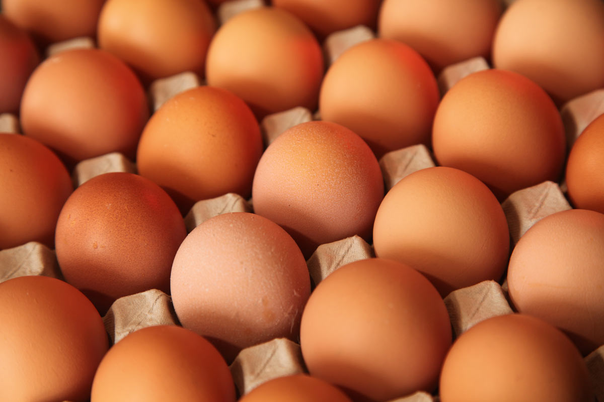 Експерти прогнозують зниження цін на яйця