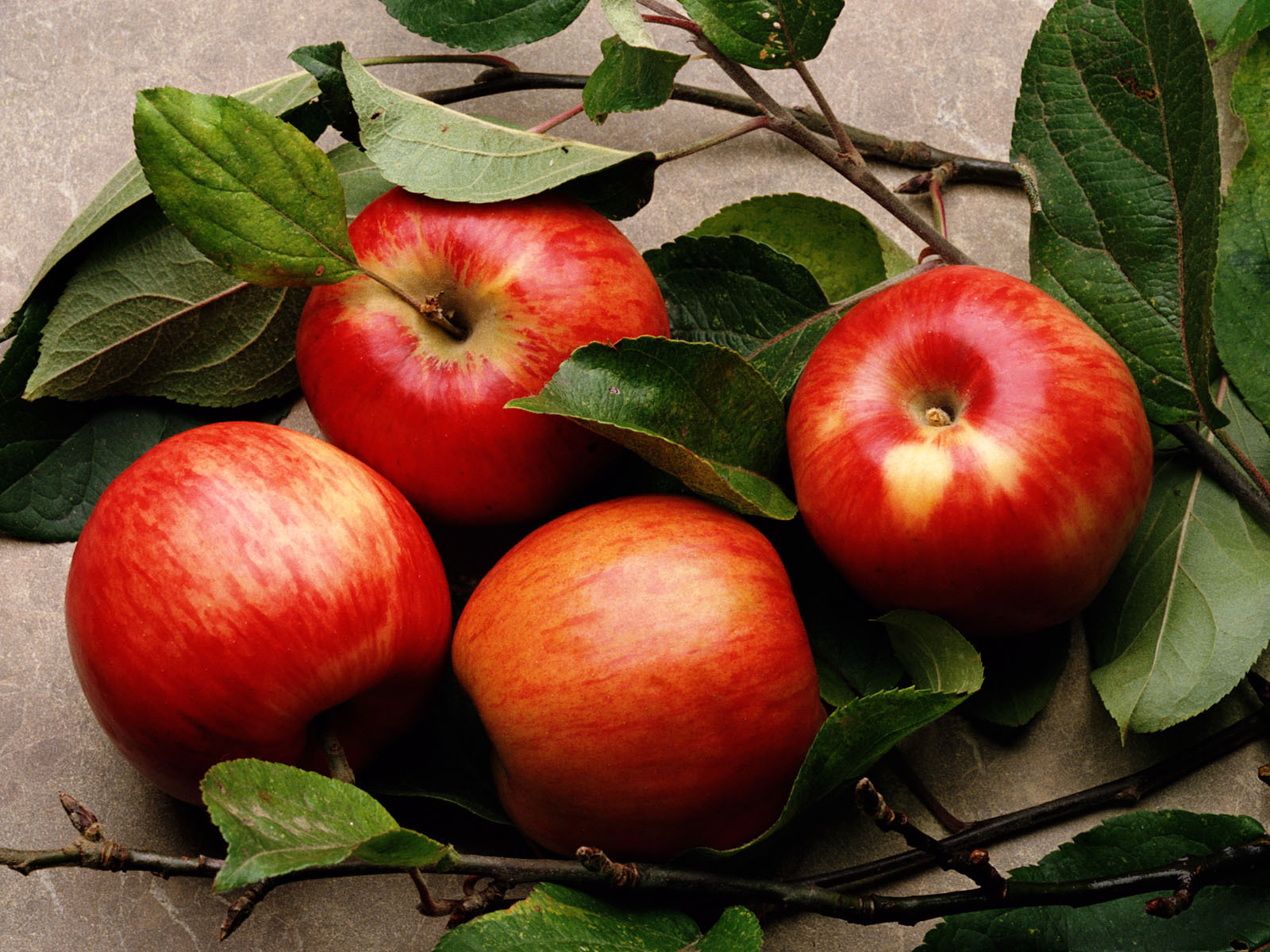 Україна планує у 2022 році налагодити експорт яблук до Індії