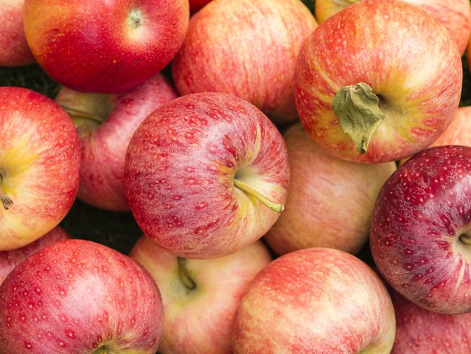 В Україні другий рік поспіль вичерпуються запаси яблука головного експортного сорту «Гала»