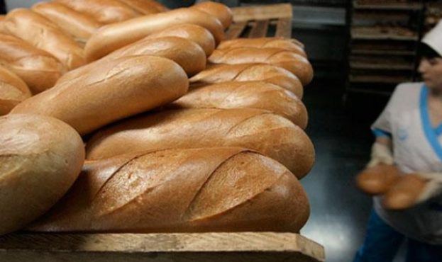 Виробники хліба придбали найбільше “пільгового” газу