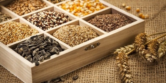 Україна збільшила експорт насіння зернових та олійних культур