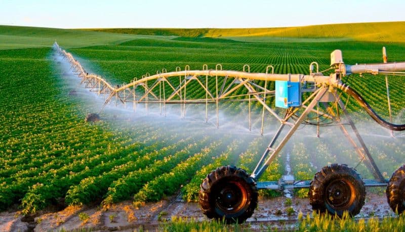 Через тарифи на воду ціни на продукти злетять на 30% – аграрії просять Уряд врегулювати ситуацію