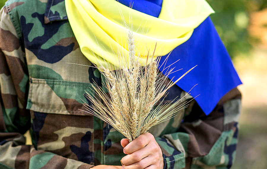 Другий фронт: чи загрожує Україні продовольча криза?