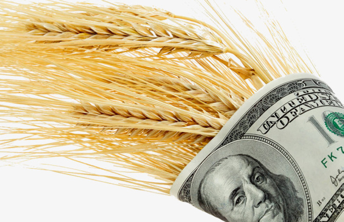 Ціни на пшеницю знову виросли на тлі посилення агресії Росії проти України