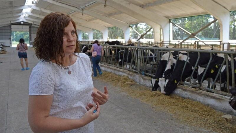Українська молочна ферма бореться з вторгненням, забезпечуючи продовольством свою громаду