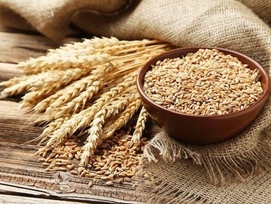 Через загрозу зриву експорту зерна з України можливий голод у багатьох країнах – Зеленський