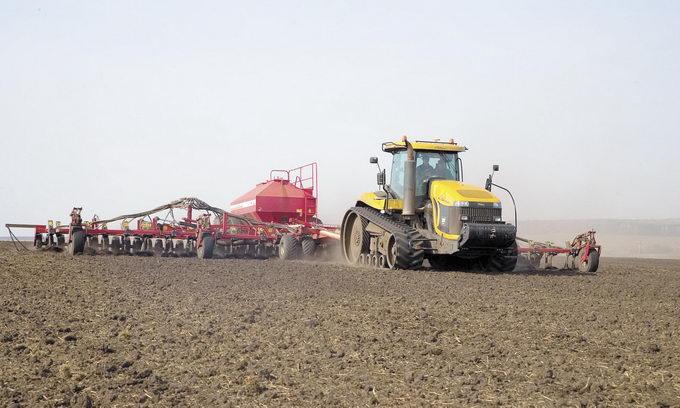 В Україні вже посіяно 3,6 млн га озимих зернових