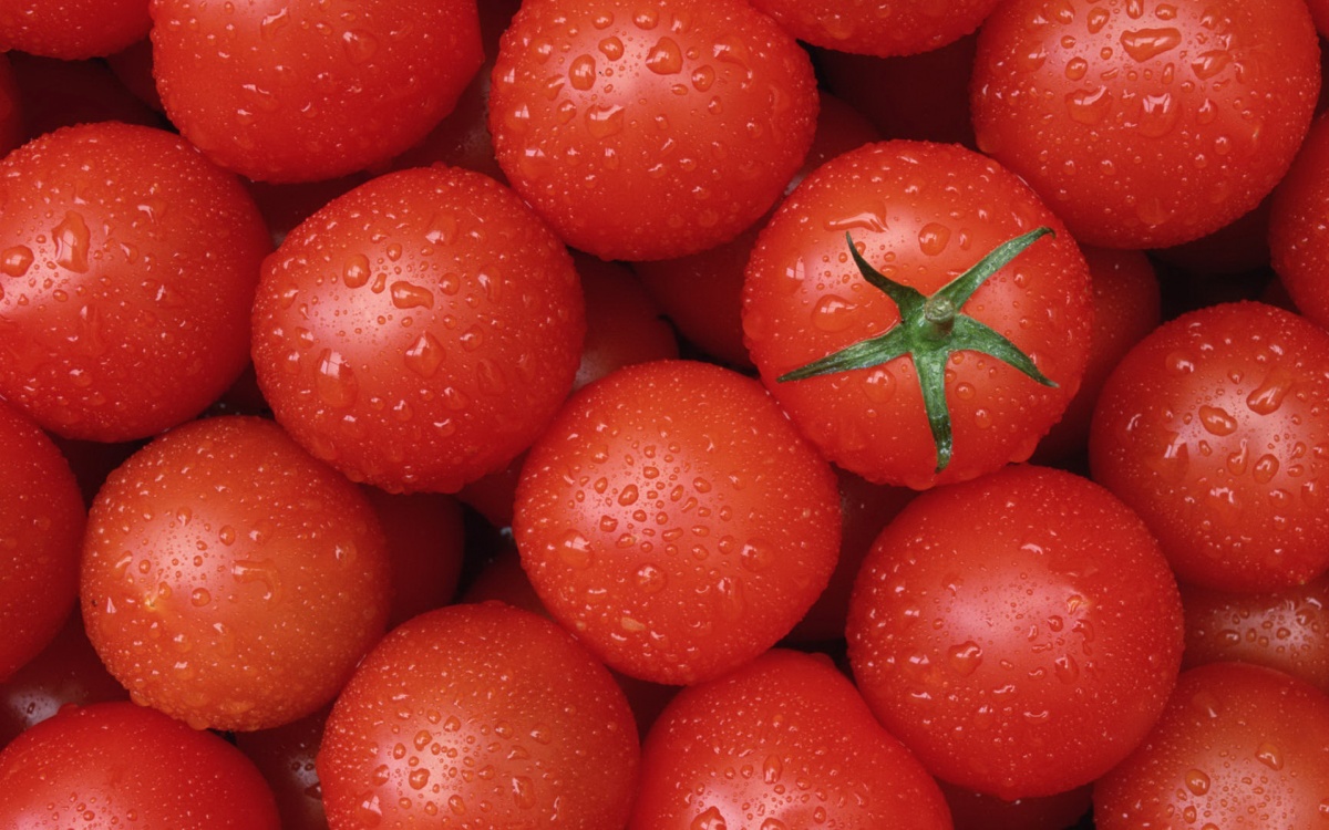 Фермери з Мелітополя тоннами викидають помідори: окупанти не дають вивозити овочі