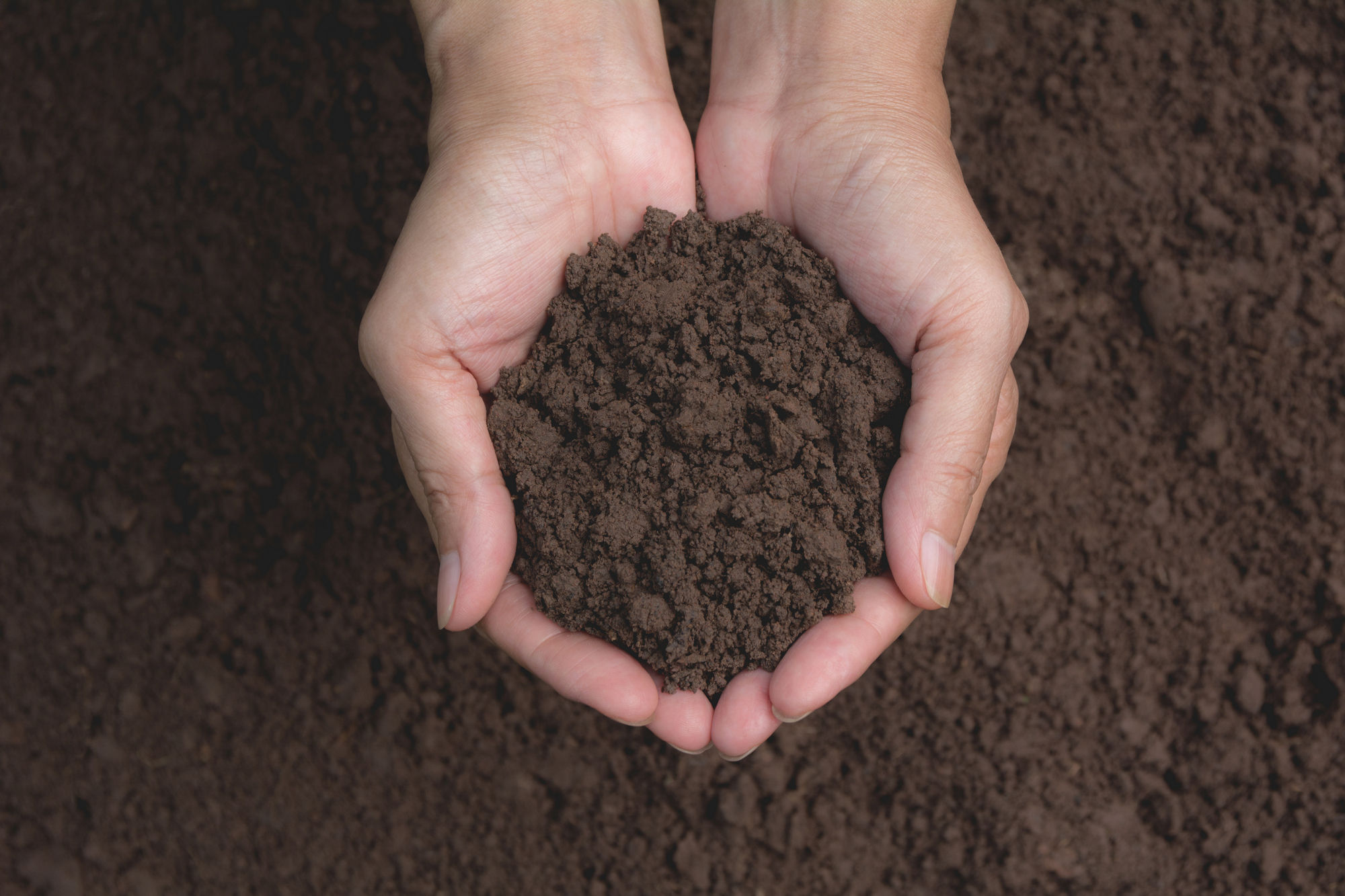 Міндовкілля затвердило Методику визначення шкоди землі та ґрунтам