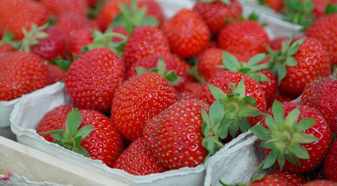 В Україні буде проблема з якістю ягоди