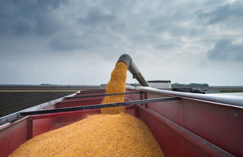 На Луганщині окупанти вкрали трирічний запас зерна