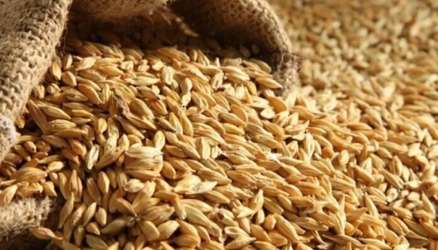 Україна в ООН застерегла країни світу від купівлі краденого рф зерна