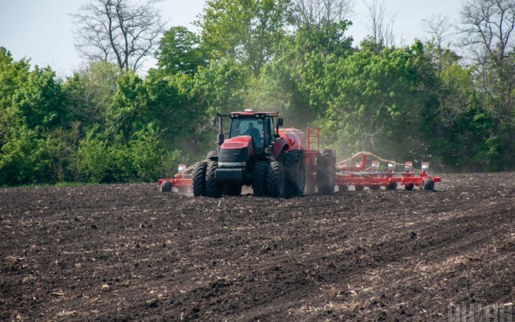 Німецька кукурудза, французька картопля: аграрії засівають землю насінням з Європи