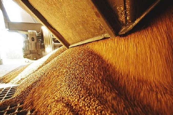З початку грудня Україна експортувала понад 800 тисяч тонн зерна