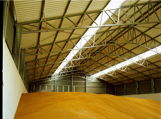 США допоможуть у побудові тимчасових зерносховищ для вивезення зерна з України – Байден