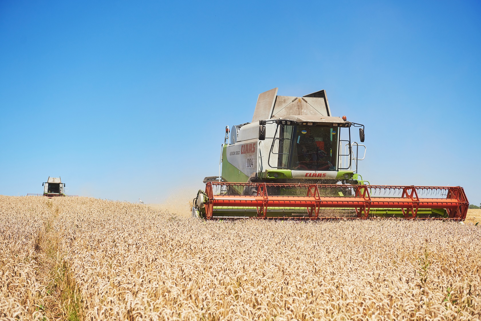 Хлібний фронт: як розвивається експорт зерна з України через західні кордони та до чого тут Швеція