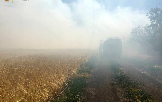 На Миколаївщині через обстріли згоріло понад 80 гектарів пшениці
