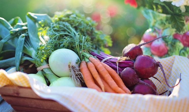 Ціни на овочі на окупованій Херсонщині менші до 10 разів 