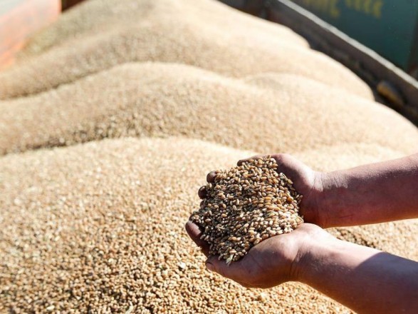 У Туреччині заявили про створення “операційного центру” для вивезення зерна з України