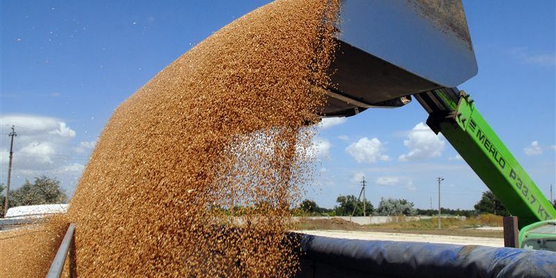 Єврокомісія запустила платформу для оптимізації експорту українського зерна до ЄС – Grainlane