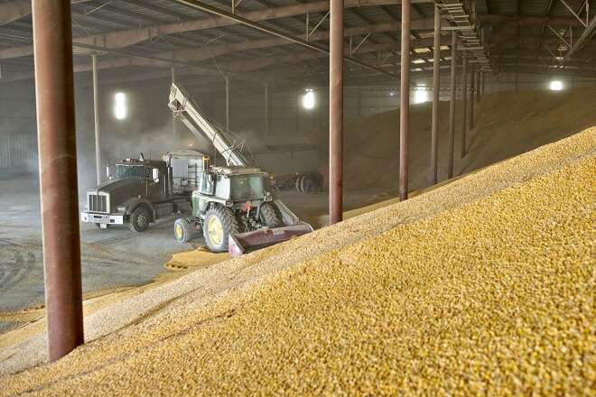 У Німеччині сподіваються, що зерно з України можна буде експортувати щодня вже в липні