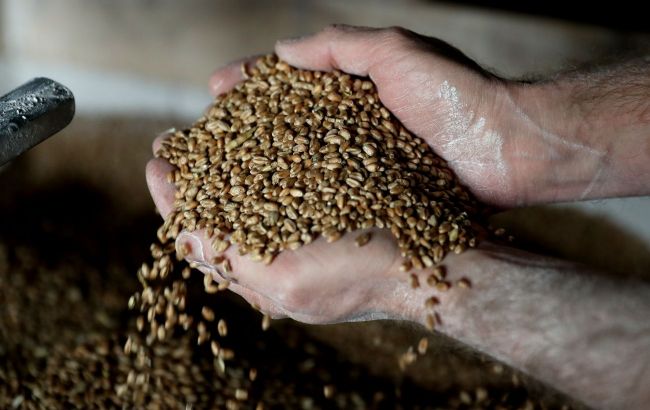 Окупанти планують продавати вкрадене зерно в Північну Америку