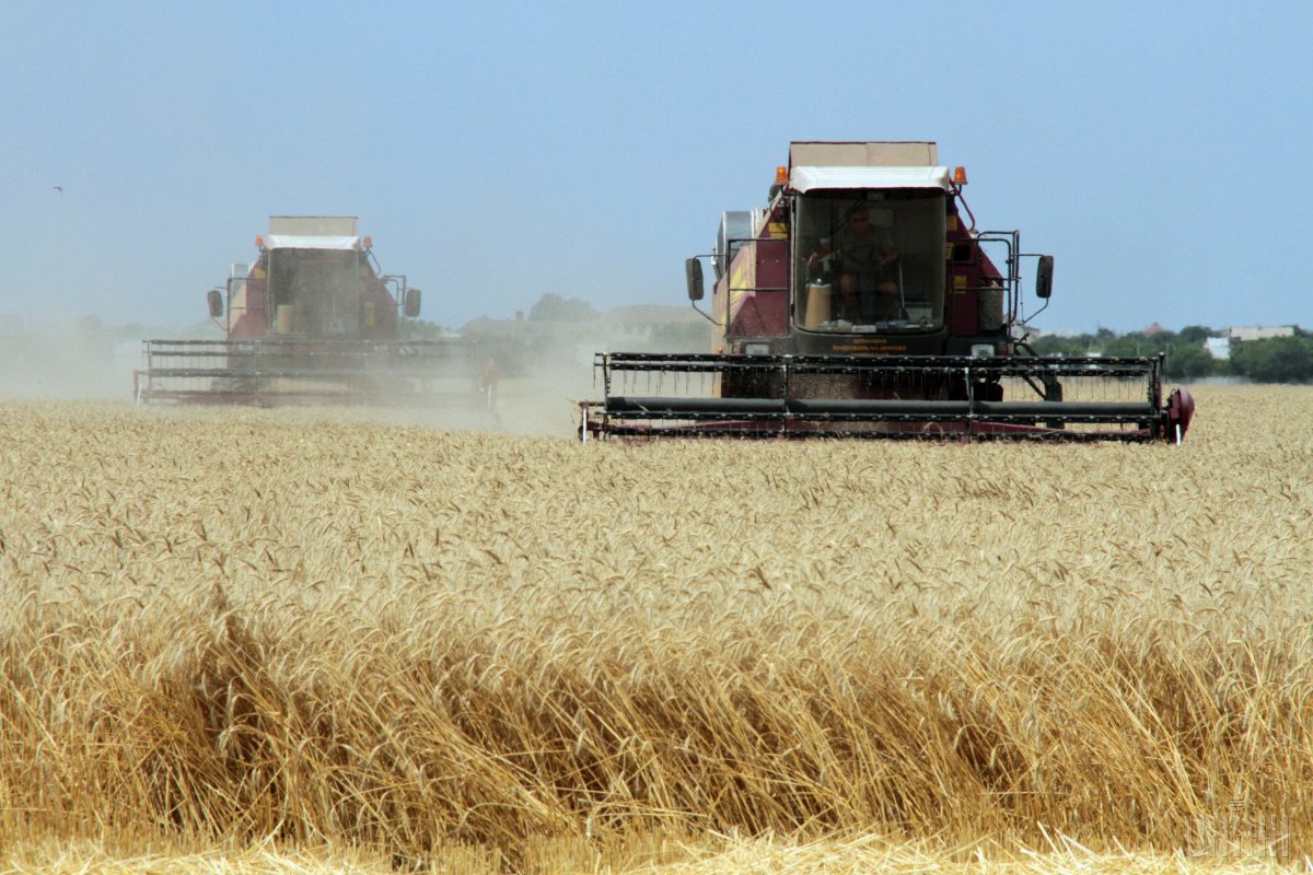 Вже намолочено 11,8 млн тонн зерна нового врожаю