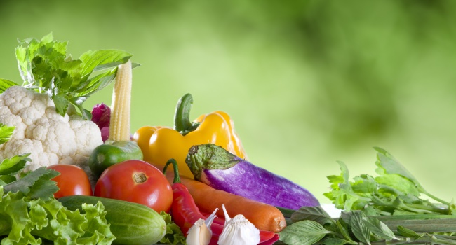 На Закарпатті збирають врожай овочів, який має покрити дефіцит: які ціни прогнозують