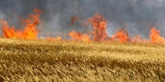 Фермерів Херсонщини закликали палити свої поля