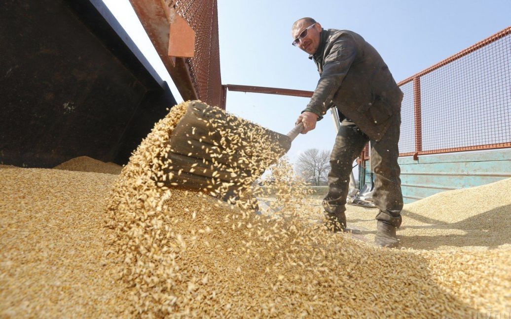 Казахстан може розірвати контракт із компанією рф через вивезення краденого зерна із України