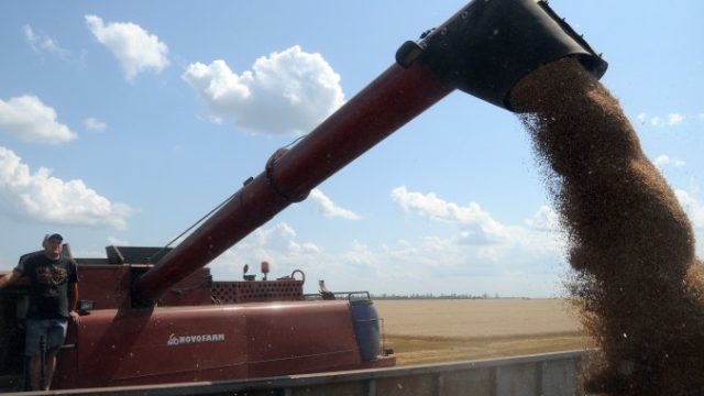 Українські аграрії зможуть експортувати не більше 35% сільгосппродукції – британська розвідка