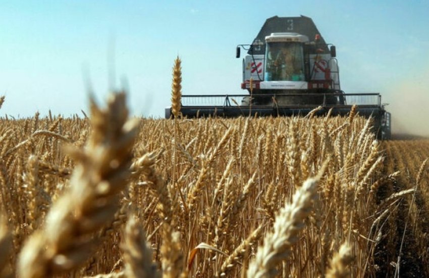 Близько 70 тисяч тонн нового зерна росіяни відібрали у фермерів Луганщини і вивезли