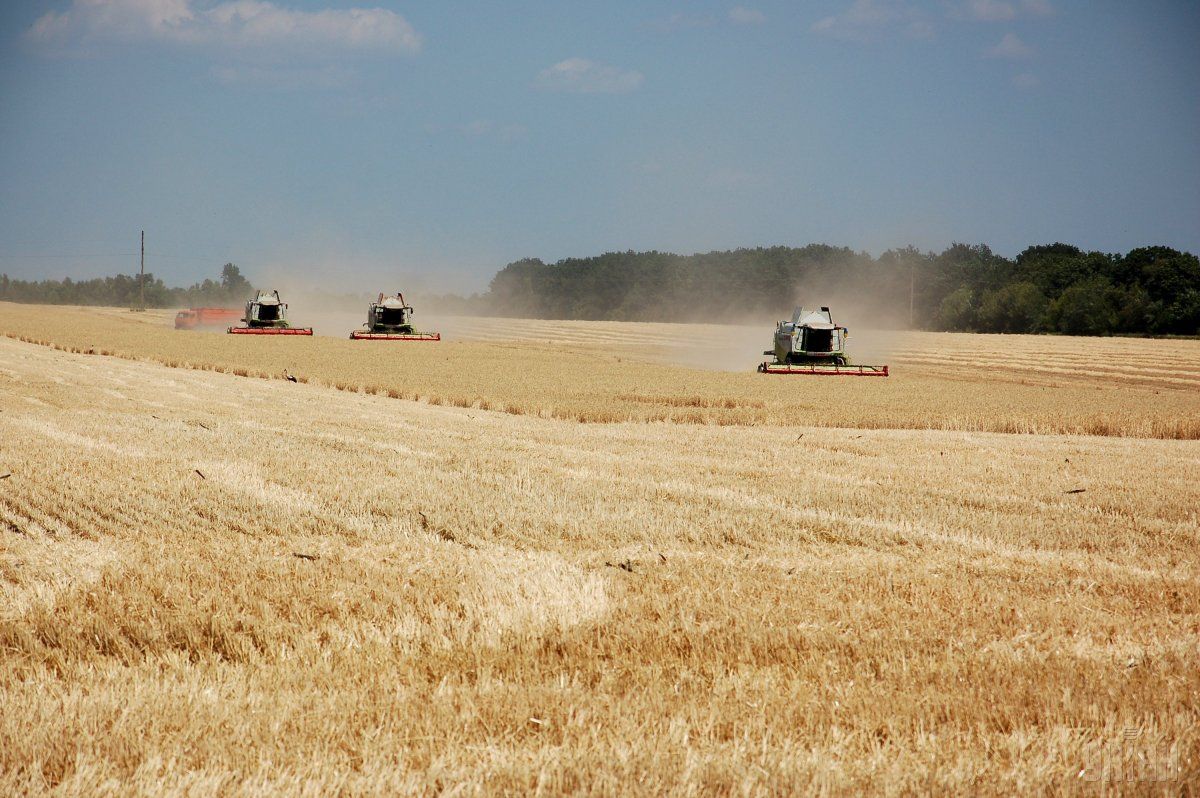 Аграрії зібрали вже 17,5 млн тонн зерна