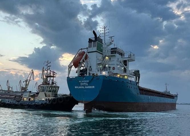 Не менше десяти суден планують залучити для вивезення українського зерна з портів до вересня