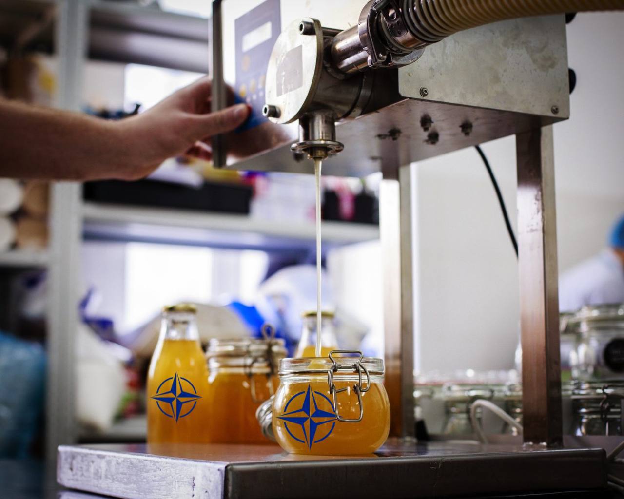 Штаб-квартира НАТО у Брюсселі зайнялася виробництвом меду