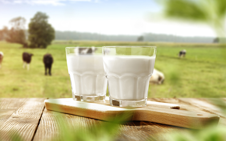 В ЄС ціни на органічне і звичайне молоко майже зрівнялися