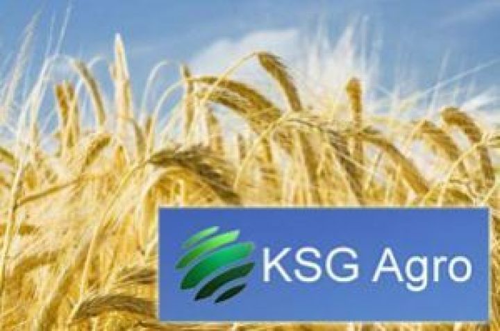 Агрохолдинг KSG Agro зменшив прибуток у 16 разів