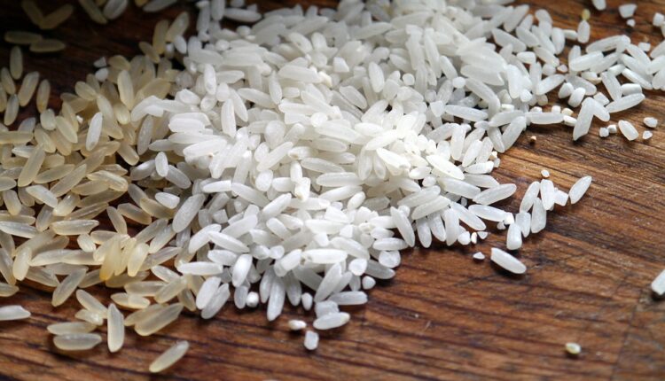 Китайці навчилися вирощувати рис у космосі