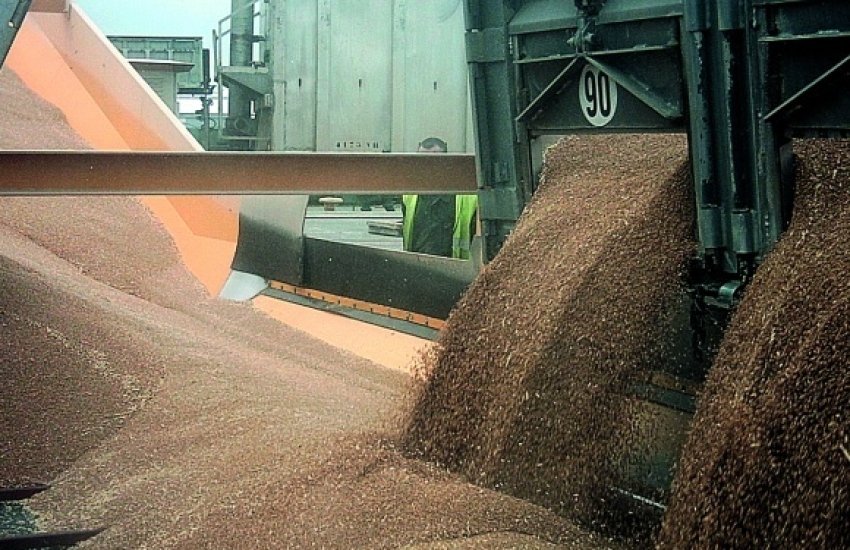 “Укрзалізниця” у серпні експортувала рекордний з початку війни об’єм зерна
