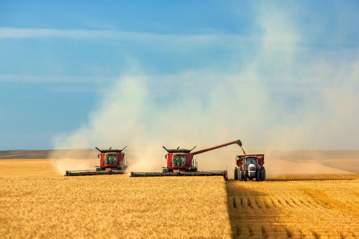 Цьогоріч Україна збере 50-60 млн тонн зернових, вдвічі менше, ніж минулого року