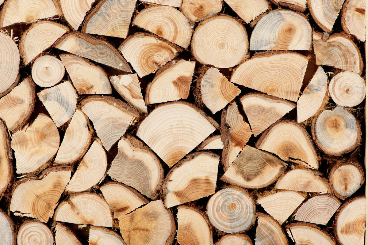 В Україні спростили закупівлю дров