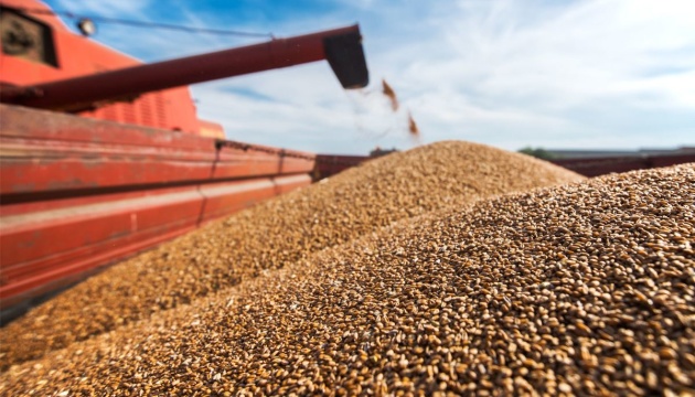 Україна має достатньо пшениці для власних потреб і для допомоги іншим 