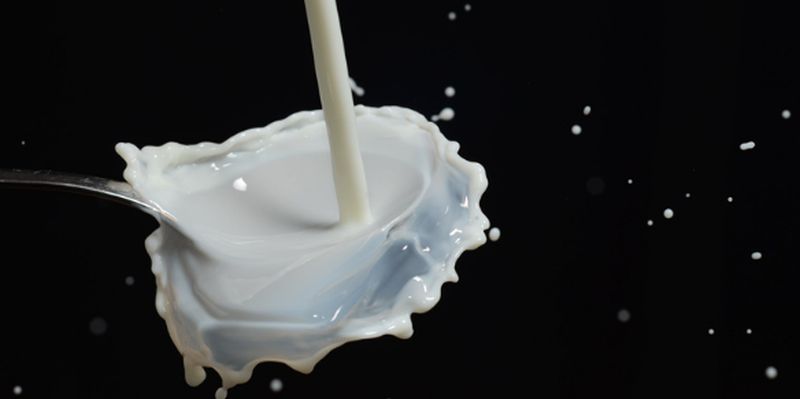 На експорті молока та вершків Україна заробила $8,8 млн