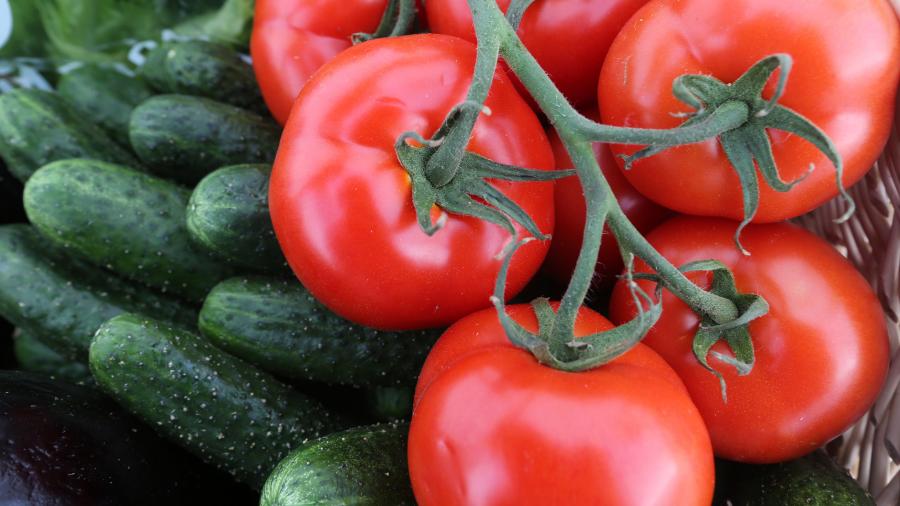 Дорожчають огірки і томати: ціни на овочі