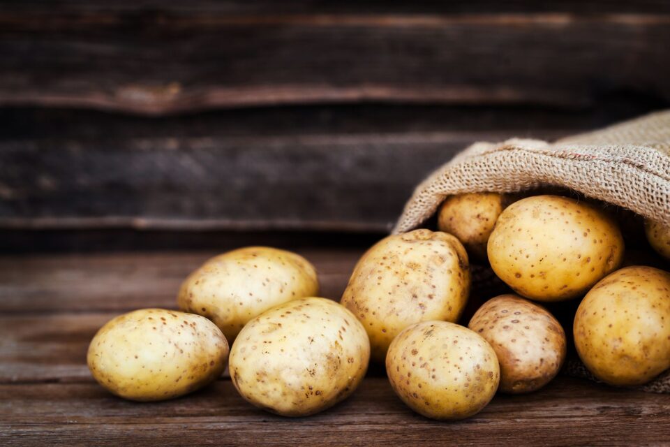 Ціни на картоплю в Україні досягли “дна”