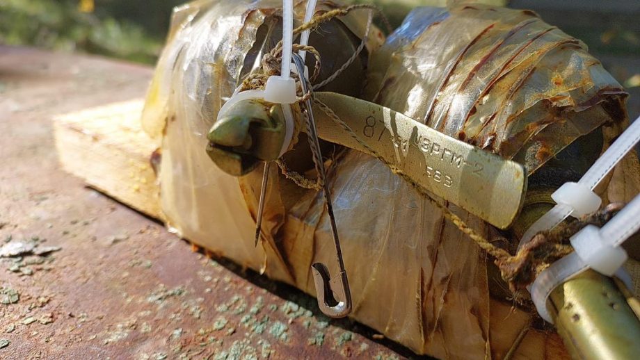 Біологічна зброя українців: у Бучі бджоли знешкодили розтяжку з гранатою