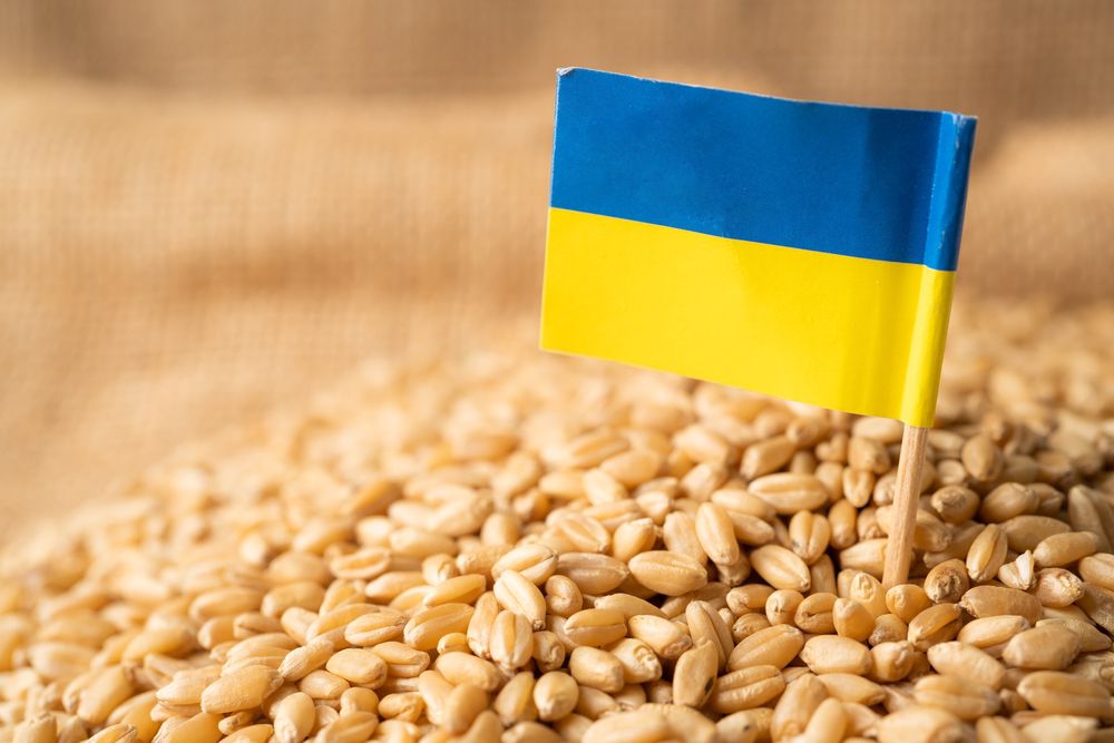 Судно з українською пшеницею прибуло в Кенію