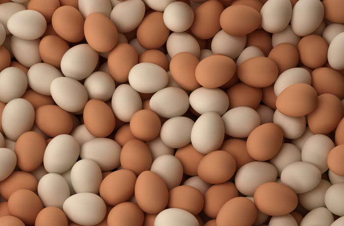 Виробництво яєць в Україні впало на 20%