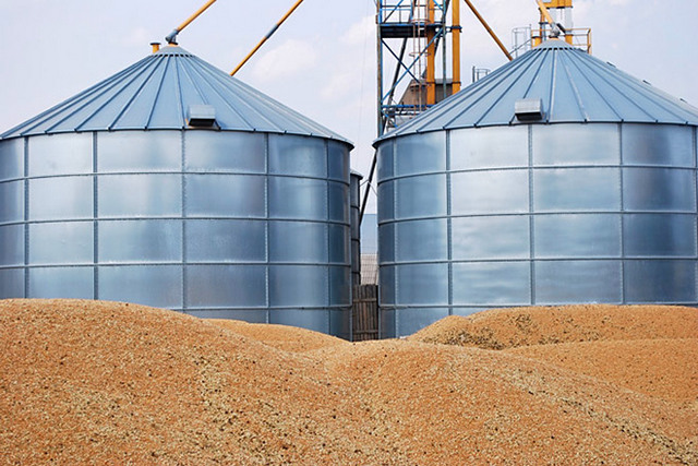 Україні ніде зберігати зерно, сховища практично заповнені