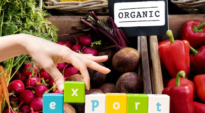 Топ-10 експортованих з України органічних продуктів